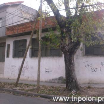 Previsualizar